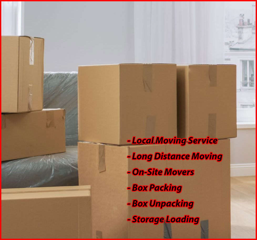 Packers And Movers Noida Sector 86